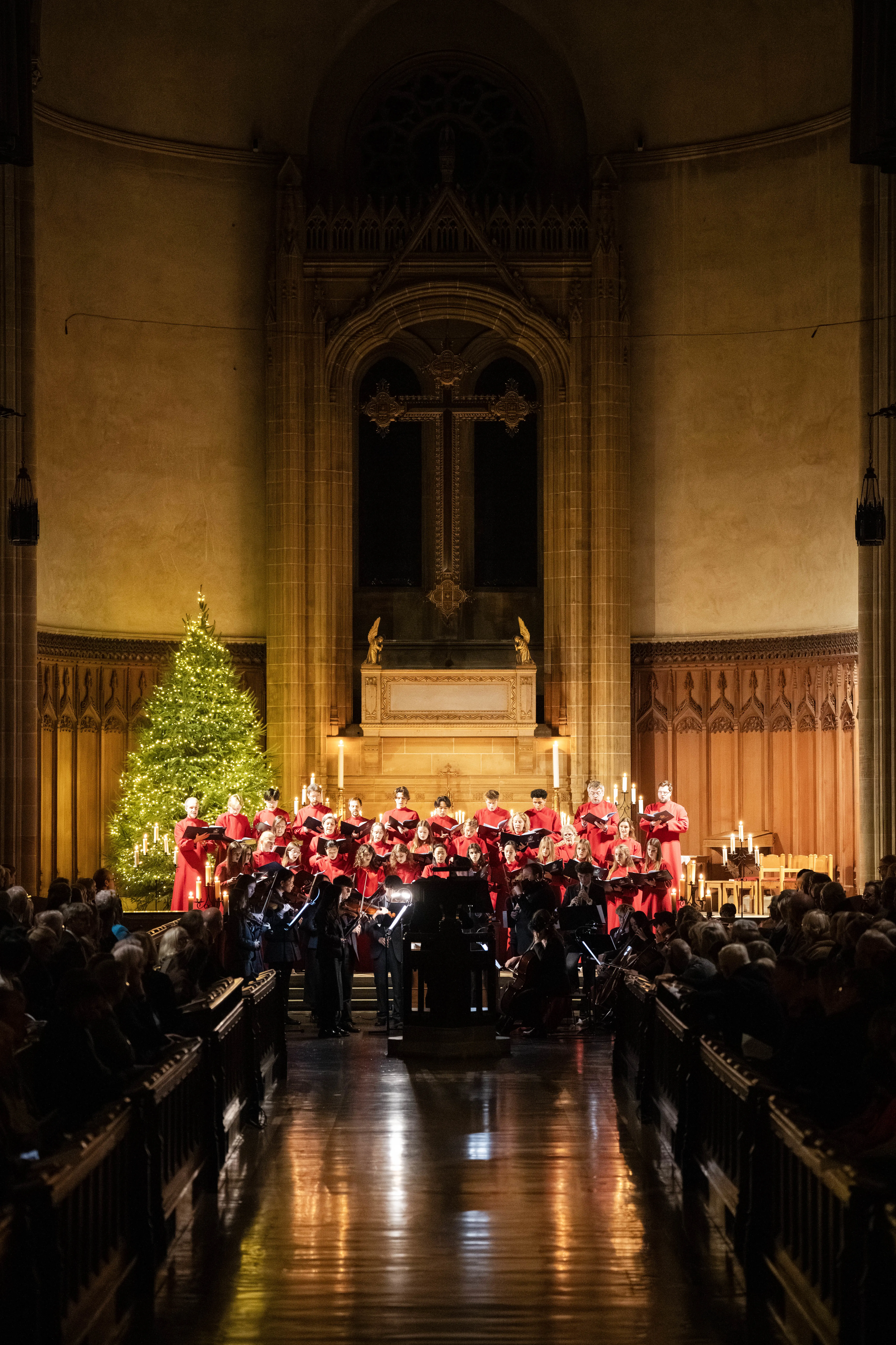 OptimizedImage,,music,Optimized