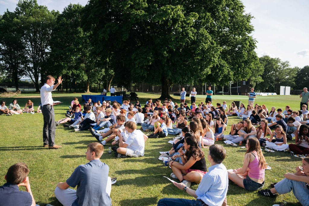 OriginalImage,,Artifex,Original