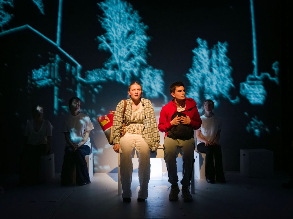 OriginalImage,,,Original