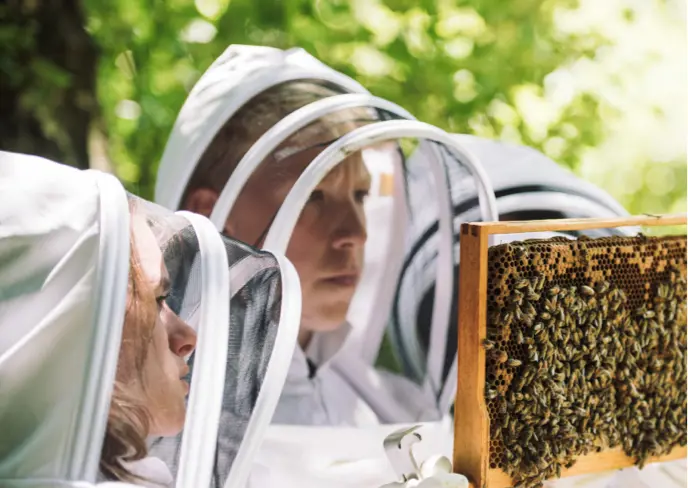  OptimizedImage,Optimized