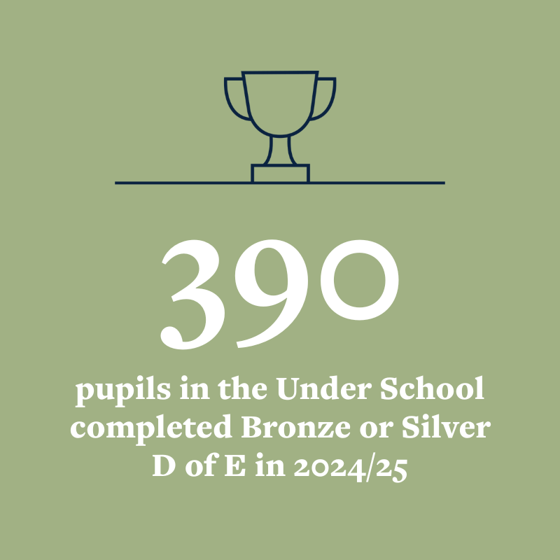 OriginalImage,,Infographics,Original