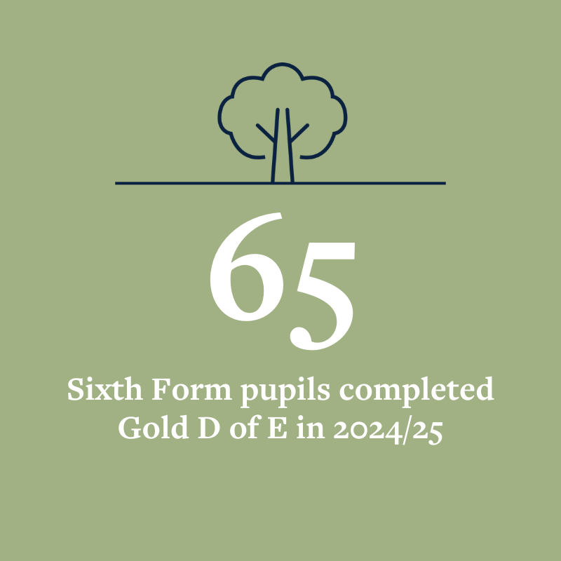 OriginalImage,,Infographics,Original