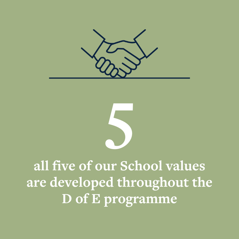 OriginalImage,,Infographics,Original