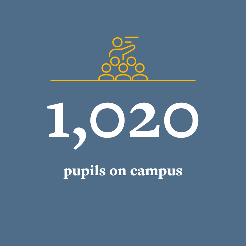 OriginalImage,,Infographics,Original