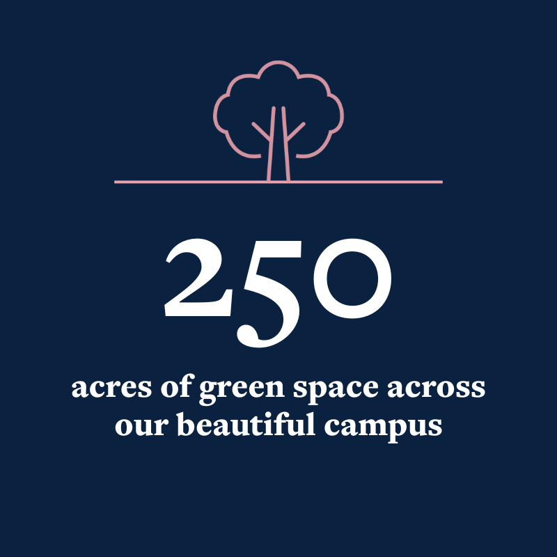 OriginalImage,,Infographics,Original