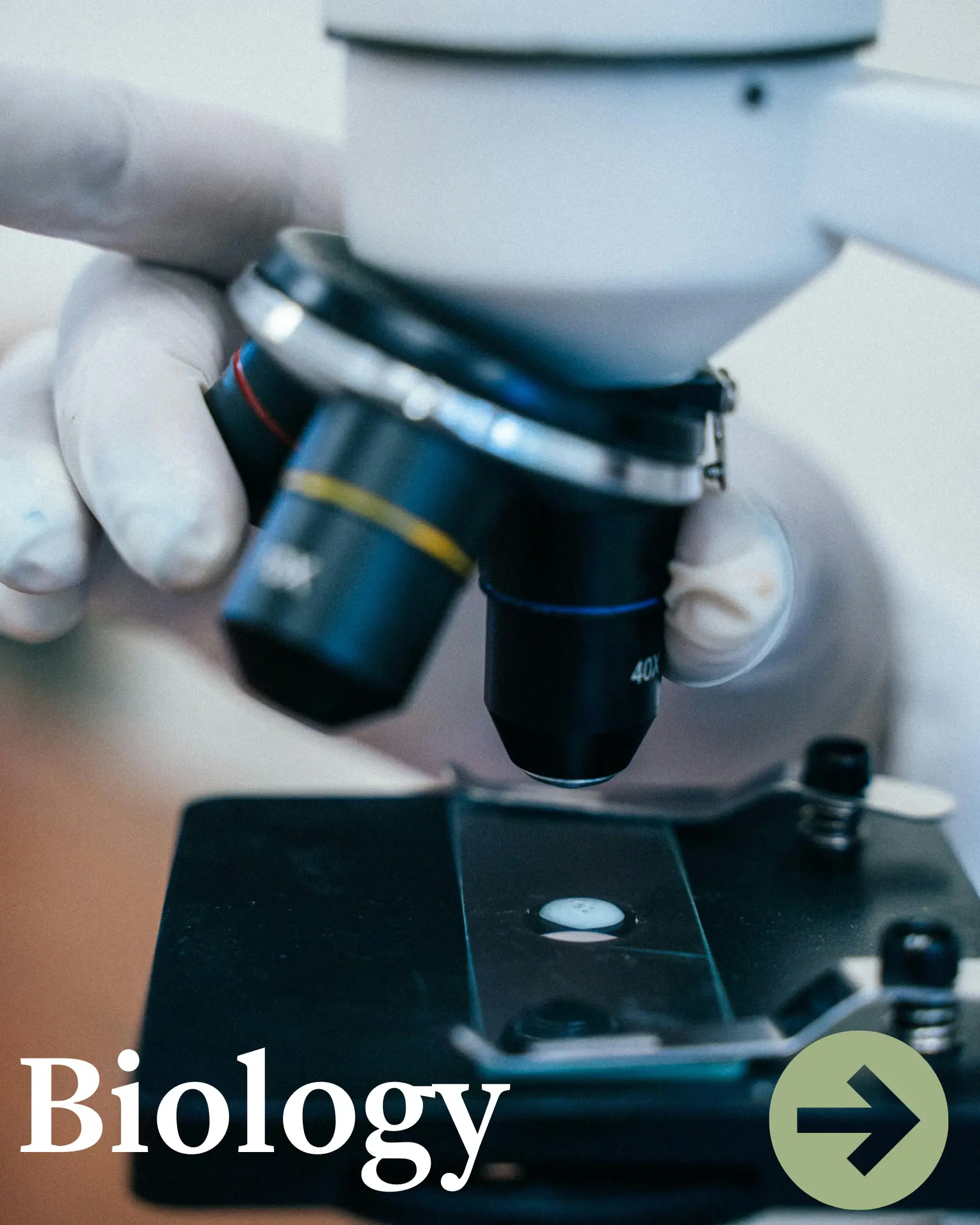  OptimizedImage,,,Optimized