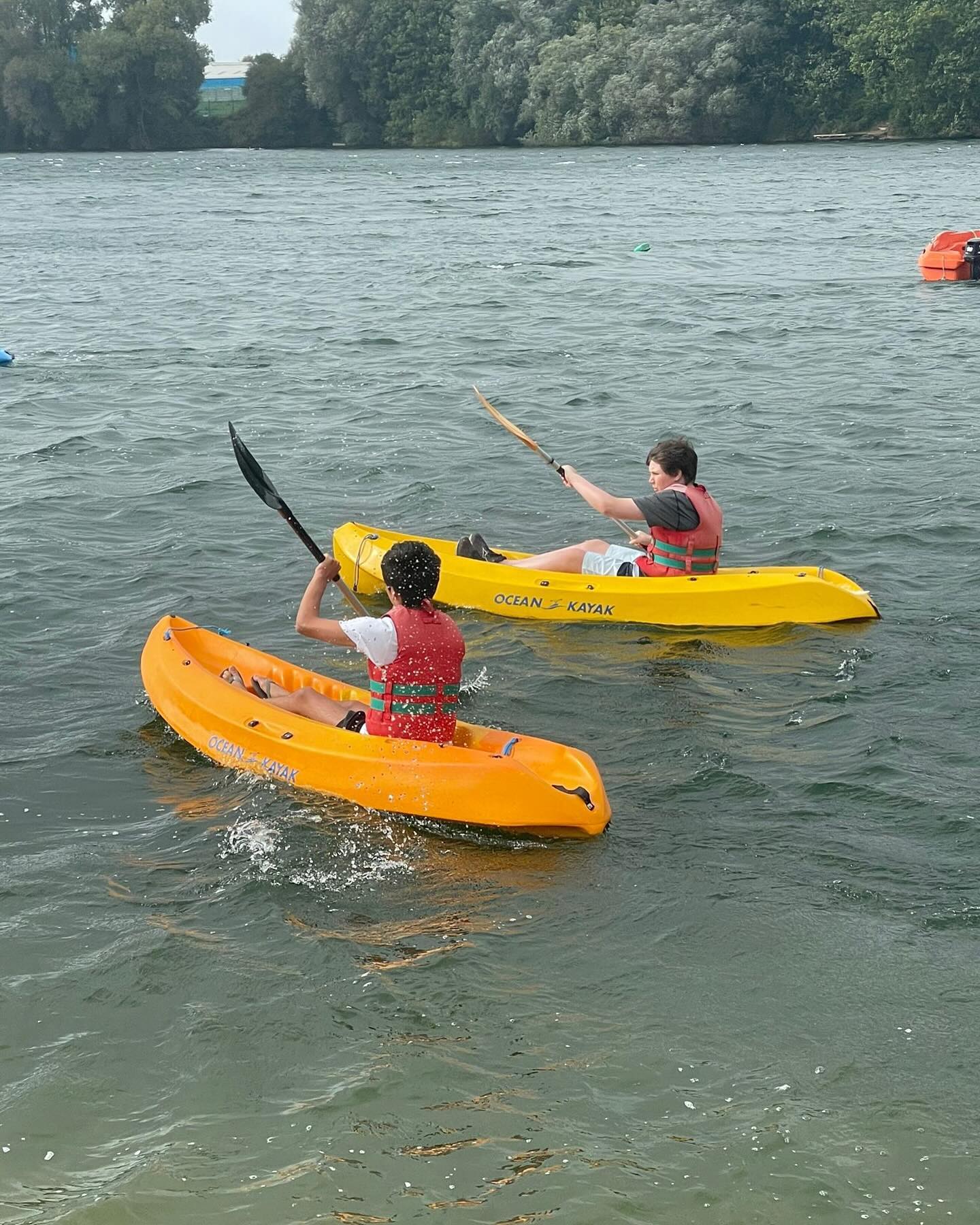 OriginalImage,,,Original