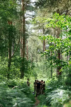  ThumbnailImage,Thumbnail