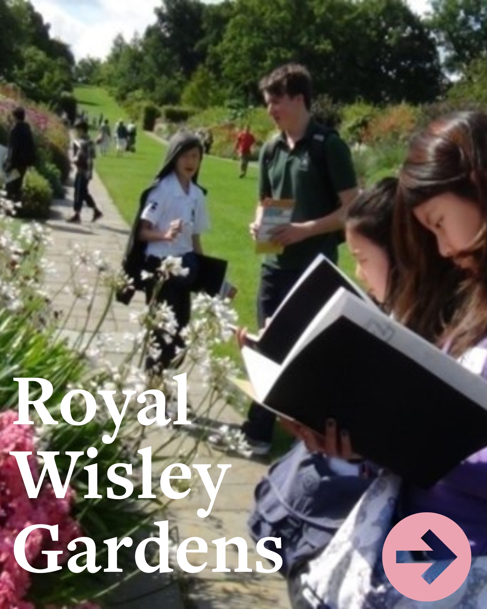 OriginalImage,,CYL,summer school,summer course,Original