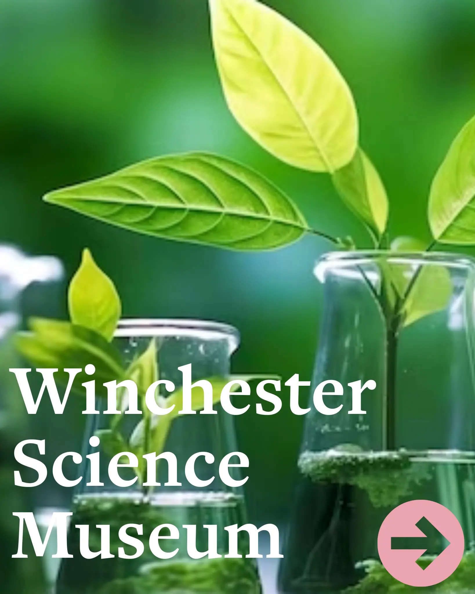  OptimizedImage,,CYL,summer school,summer course,Optimized