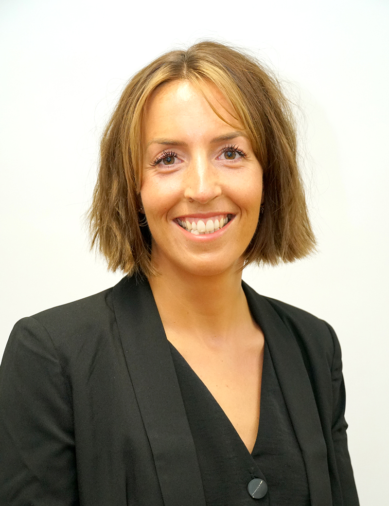 OriginalImage,houses,hodgsonites,house,houses,Original