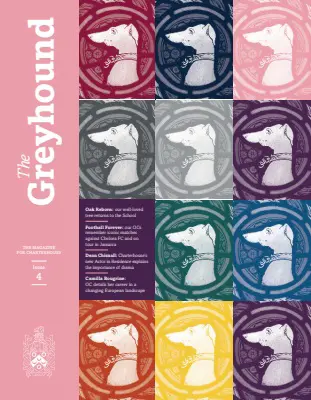  OptimizedImage,,,Optimized