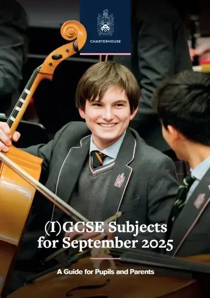  OptimizedImage,,,Optimized