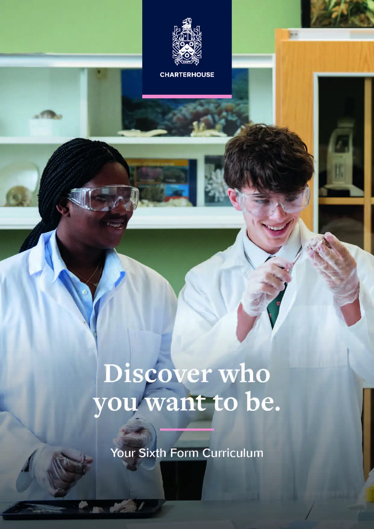  OptimizedImage,,,Optimized