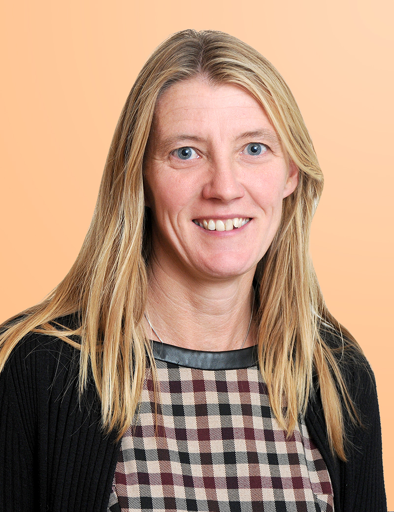 OriginalImage,houses,music,robinites,house,houses,Original