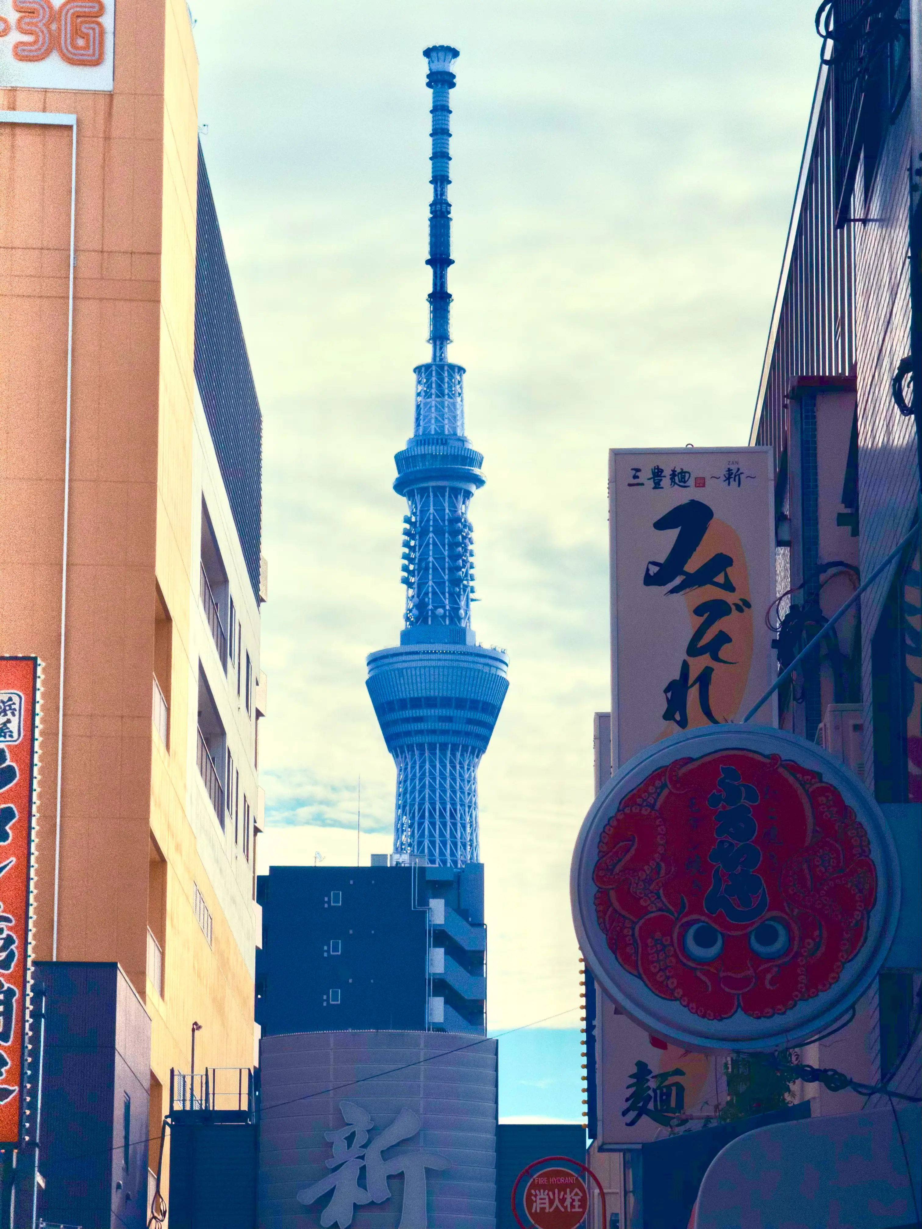 OptimizedImage,,,Optimized