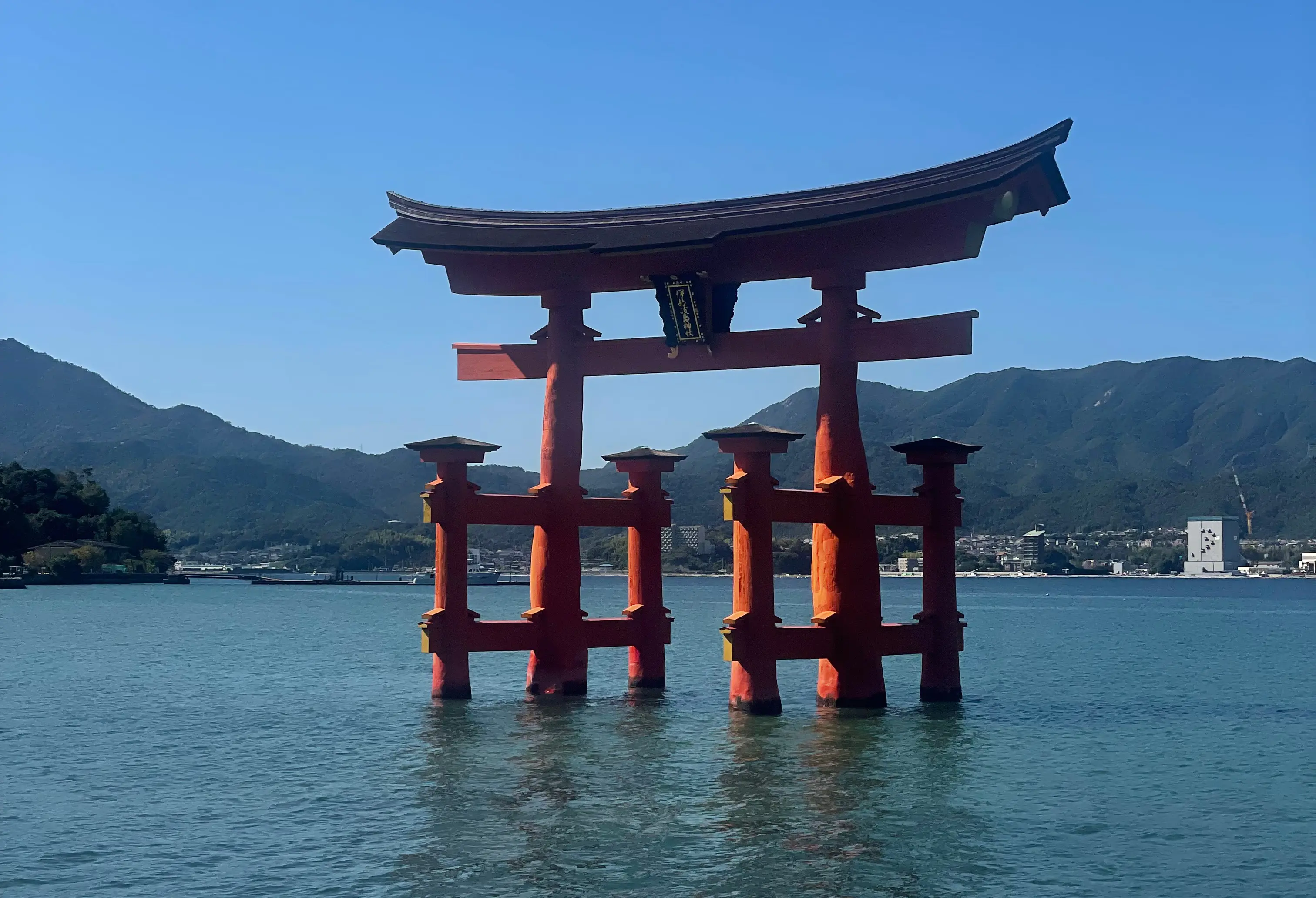  OptimizedImage,,,Optimized