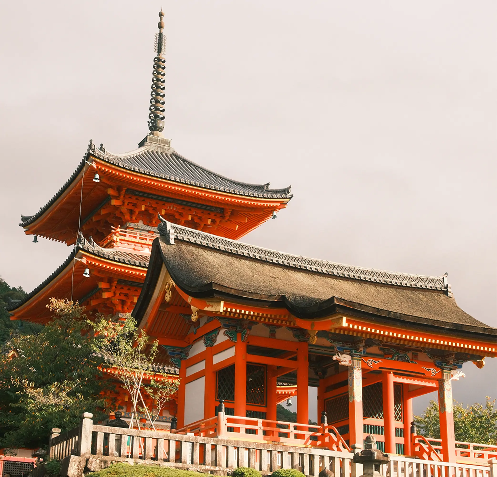 OptimizedImage,,,Optimized