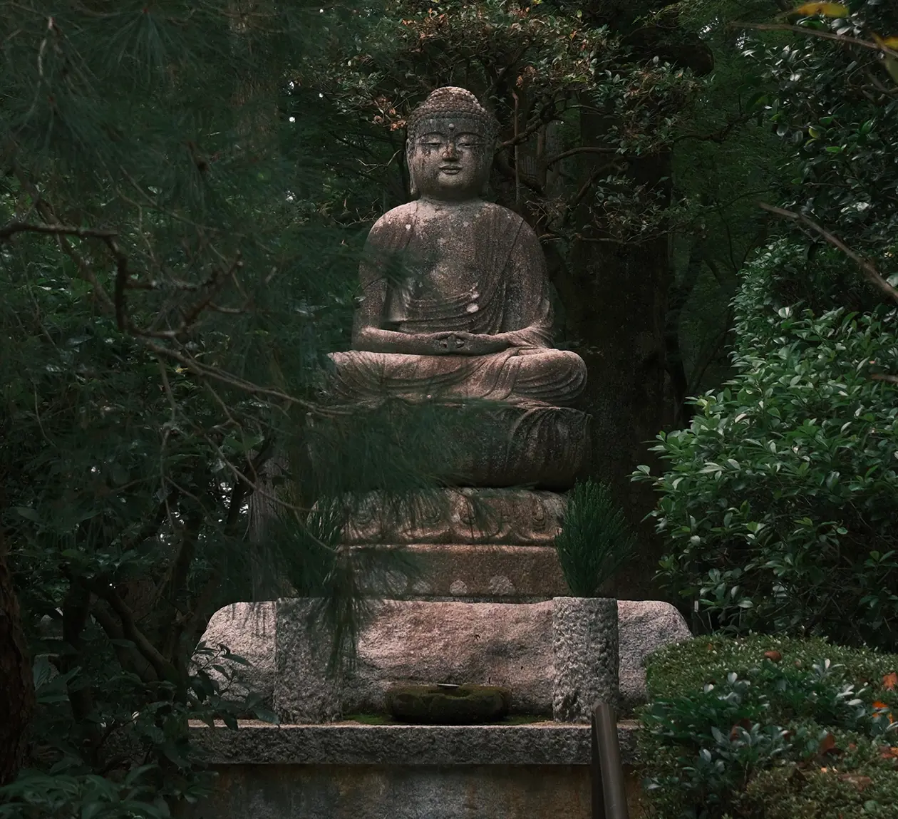  OptimizedImage,,,Optimized