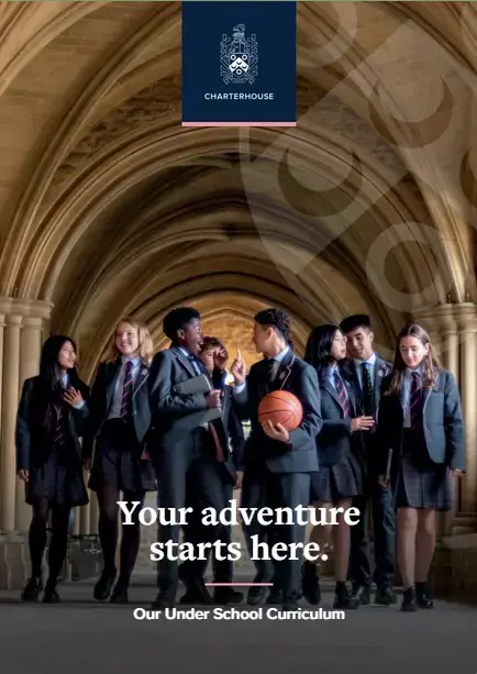  OptimizedImage,,,Optimized