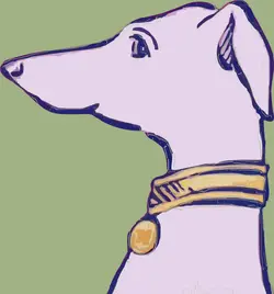 Why a Greyhound?