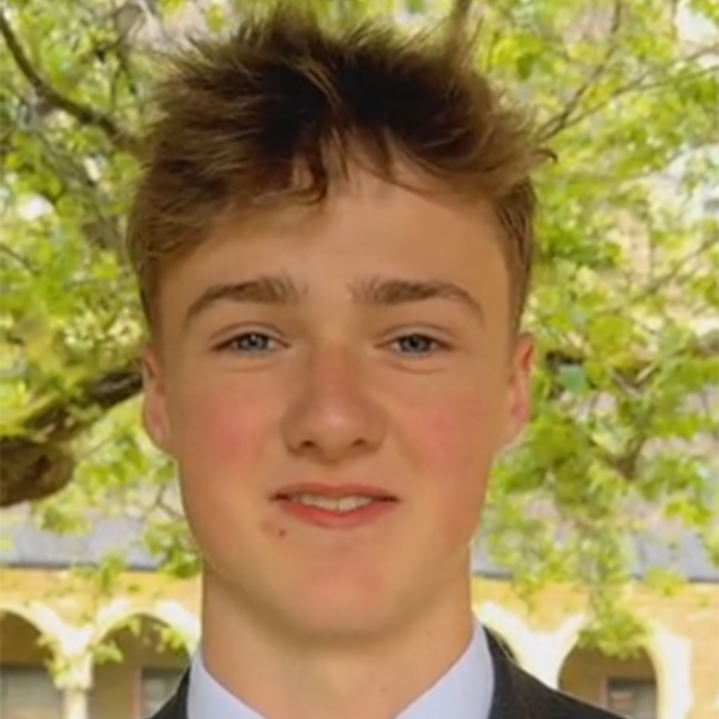 OriginalImage,,,Original